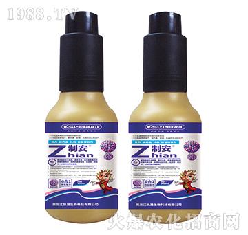 Z�ư�-�P������