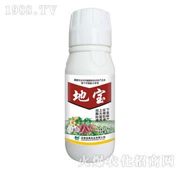 �،�-���䌍�I(y��)