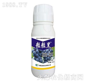 ������-���䌍�I(y��)