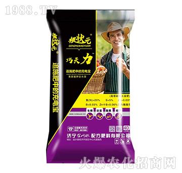 巧天力-根狀元-金網(wǎng)聯(lián)