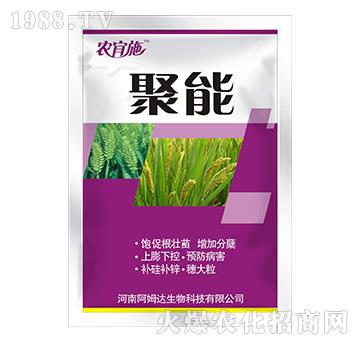 ����-�r(n��ng)��ʩ-��ķ�_(d��)