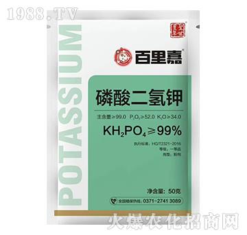 50g��������-�����-ʥ���S