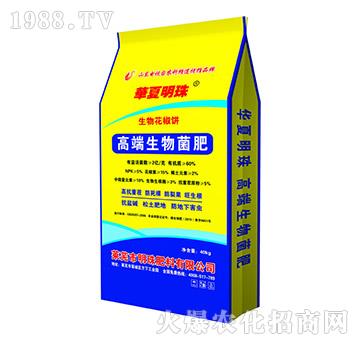 �߶��������-�������