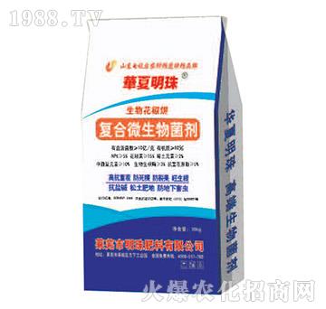 ��(f��)��΢�������-�������