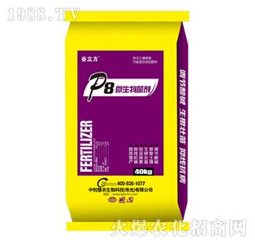 P8΢���������-������-�Є�(chu��ng)���r(n��ng)