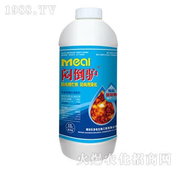 悶倒驢（1L）-樂(lè)多收