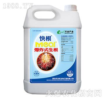 快根-樂(lè)多收