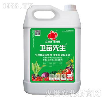 衛(wèi)苗先生（桶）-樂(lè)多收