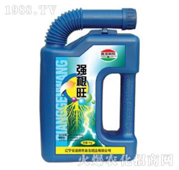 強(qiáng)根旺-嘉吉