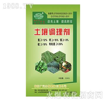 �����{�턩-�VԪ����