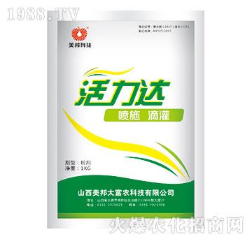 活力達(dá)-美邦科技