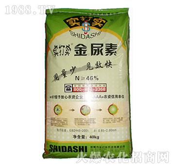 金尿素-實打?qū)? width=