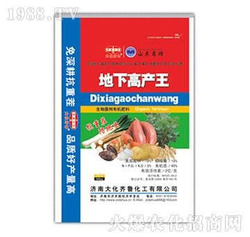地下高產(chǎn)王-大化齊魯
