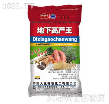 生物菌劑有機(jī)肥料-地下高產(chǎn)王-大化齊魯