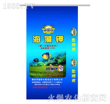 海藻鉀-摩洛哥-大化齊魯