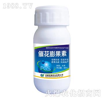 �߻������-���䌍�I(y��)