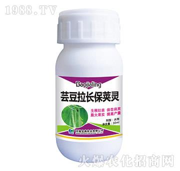 �|�����L���v�`-���䌍�I(y��)