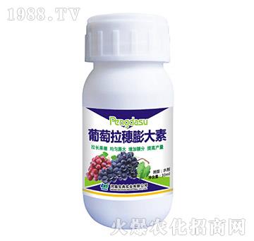 �������������-���䌍�I(y��)