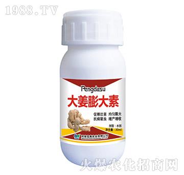 �������-���䌍�I(y��)