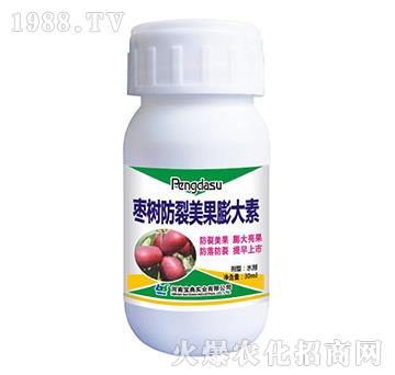 ����������������-���䌍�I(y��)