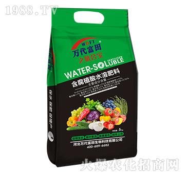 ����ֲ��ˮ�ܷ���-�к�Ҽ��