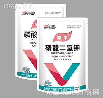 ��������-�ɡ��S-���_(t��i)��