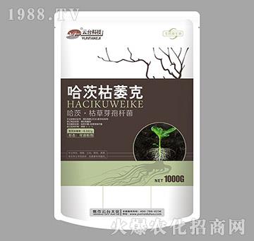 ���ġ��ݲ�ѿ�ߗU��-���Ŀ�ή��-���_��