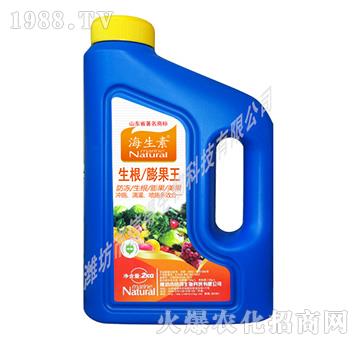 生根膨果王沖施肥-海生素-信得