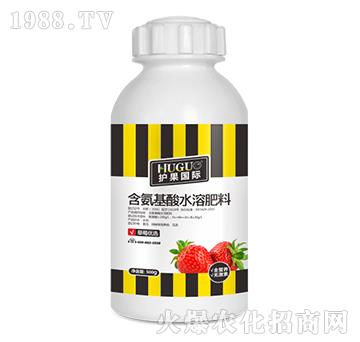 500g��ݮ��(y��u)�x��������ˮ�ܷ�-�o��