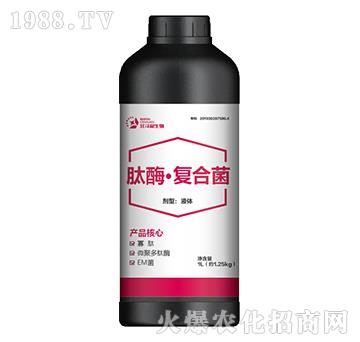 肽酶·復(fù)合菌-北斗星