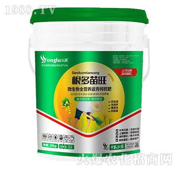 ΢����ȫ�I�B(y��ng)�����辷�-��������-���r(n��ng)��¶