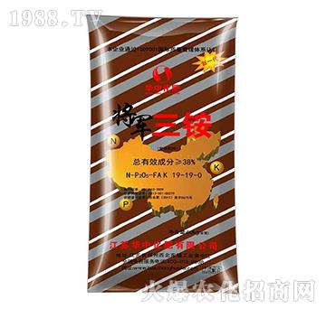 ��܊���@19-19-0-�A�л���