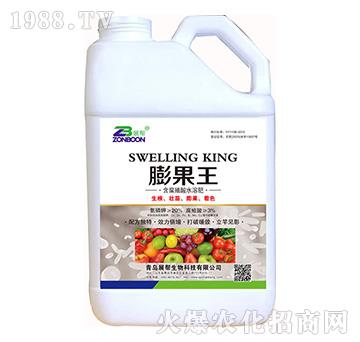 ����ֲ��ˮ�ܷ�-�����-չ������