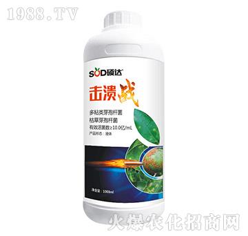 ������(zh��n)-�T�_(d��)