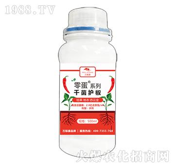 �㵰ϵ��-ǧ���o(h��)��-�f�ڿ�