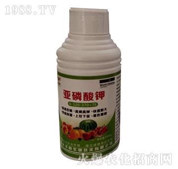 �������0-520-370+TE-�S������