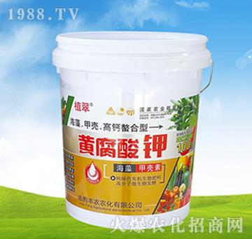 �S�����-ֲ��-�S�r�r��