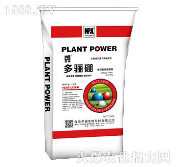 20kg���P��-���P����