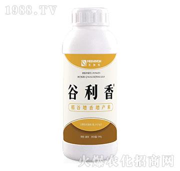 �����������a(ch��n)��-������-��٤�z