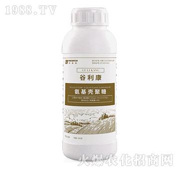 ����������-������-��٤�z