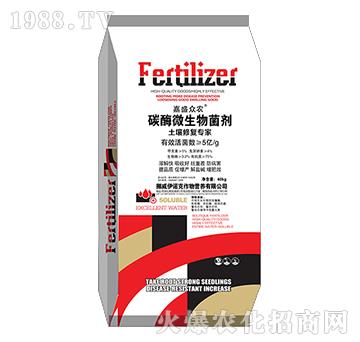 ̼ø΢�������-��ʢ���r