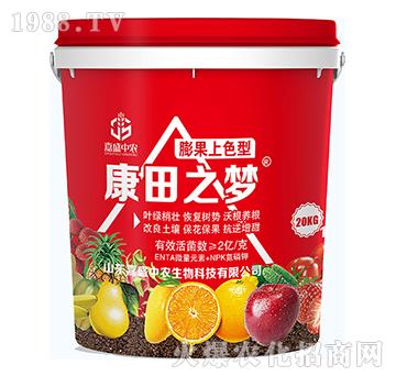 �����ɫ��-����֮��-��ʢ���r