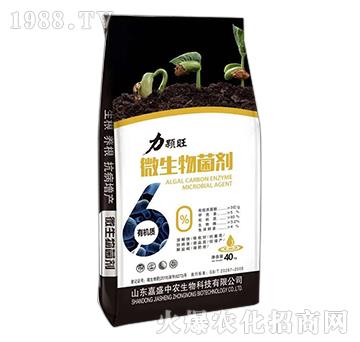 ΢�������-������-��ʢ���r