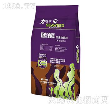 ̼ø΢�������-������-��ʢ���r