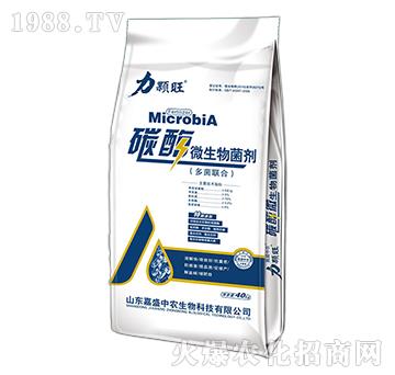 ̼ø΢�������-���w��-��ʢ���r