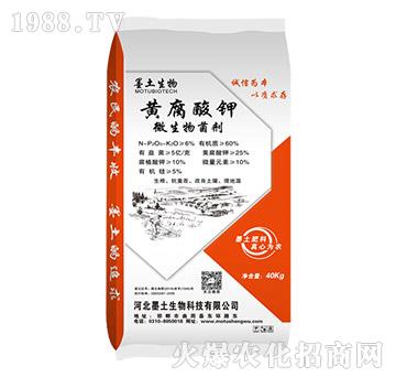 �S�����΢�������-ī��