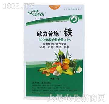 �W����ʩ�F-����r