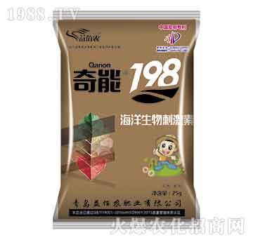 ����198-����r