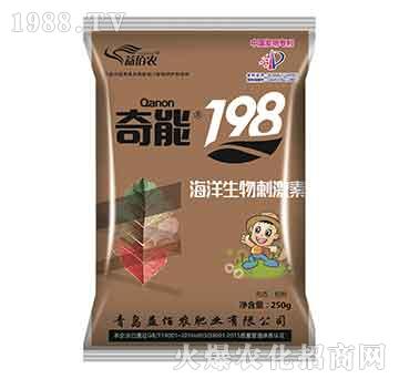 250g����198-����r