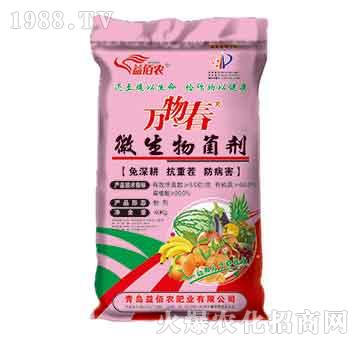 ΢�������-�f�ﴺ-����r